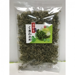 千浦海帶芽根絲